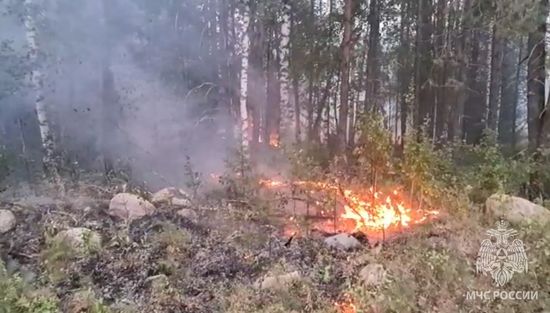 Russia Wildfires