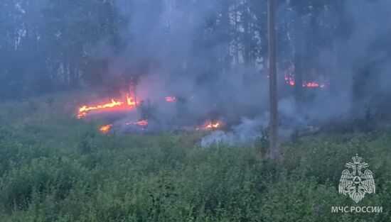 Russia Wildfires