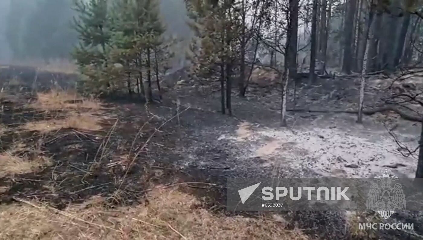 Russia Wildfires