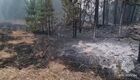 In this handout video grab released by the Russian Emergency Situations Ministry, burnt trees are seen during a forest fire in Russia's Republic of Karelia. Editorial use only, no archive, no commercial use. Location: Russia, Republic of Karelia. Russia Wildfires