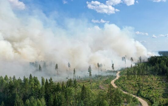 Russia Wildfires