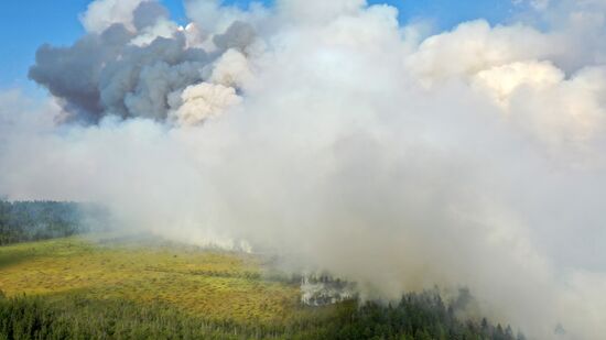 Russia Wildfires