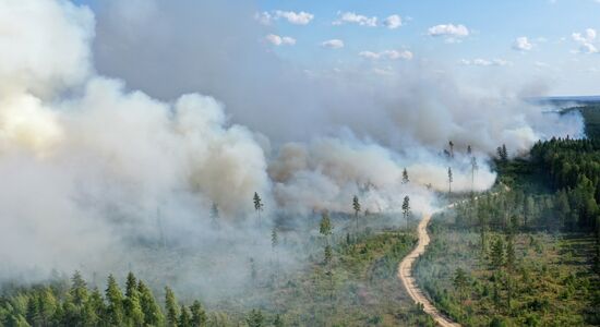 Russia Wildfires