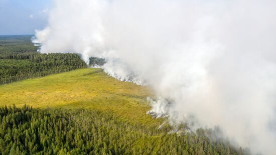 Russia Wildfires