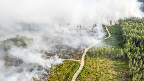 Russia Wildfires
