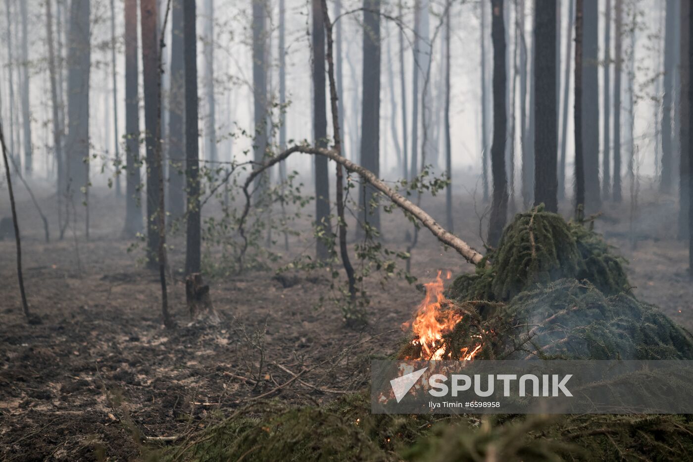 Russia Wildfires