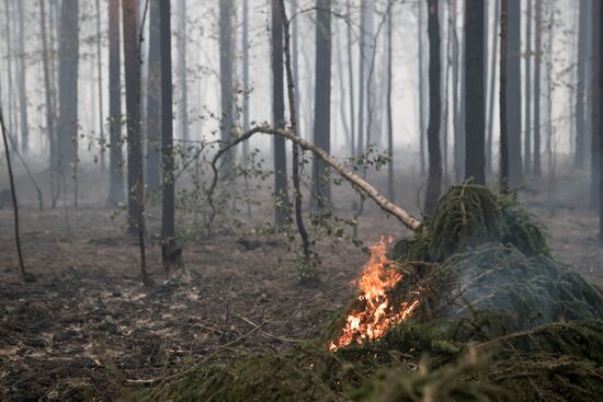 Russia Wildfires