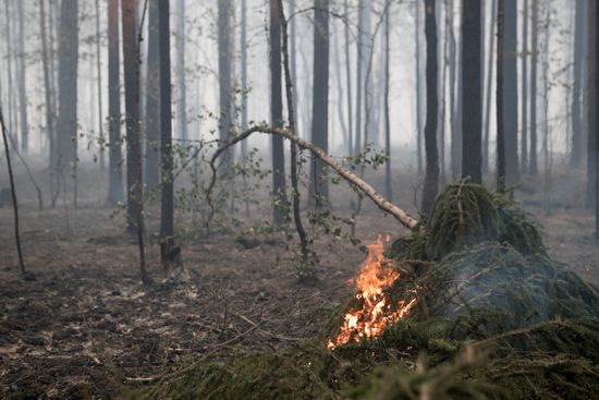 Russia Wildfires