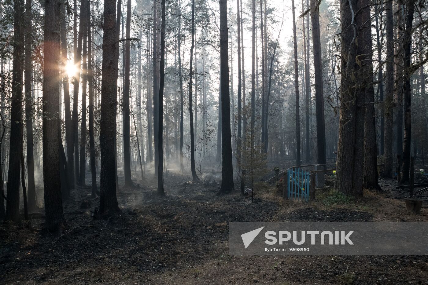 Russia Wildfires