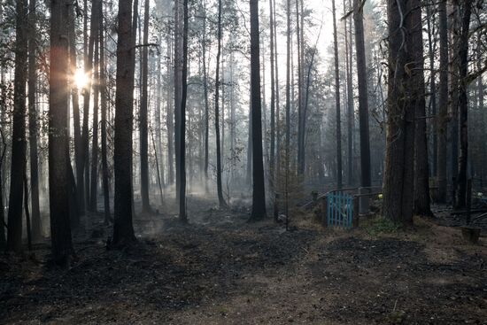 Russia Wildfires