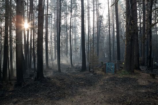 Russia Wildfires