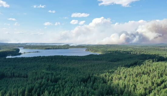 Russia Wildfires