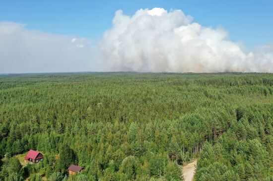 Russia Wildfires