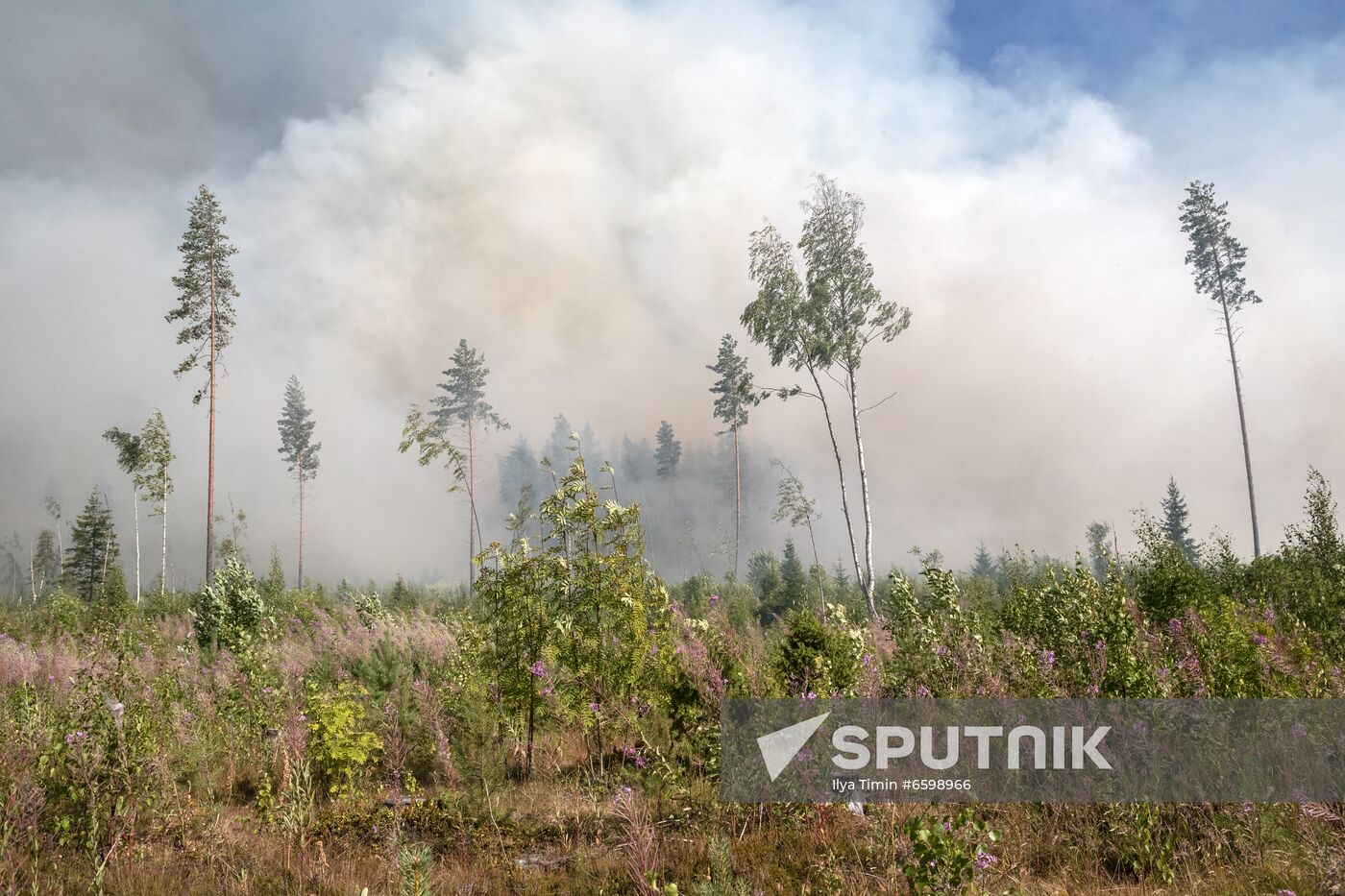 Russia Wildfires