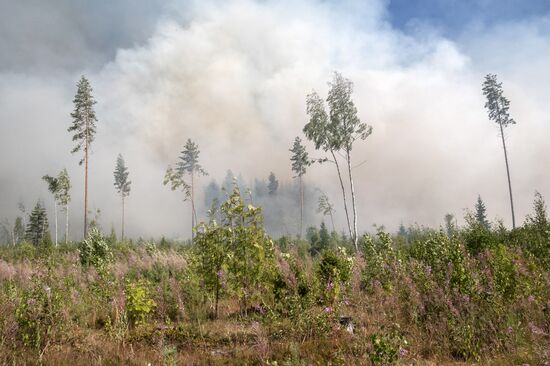 Russia Wildfires