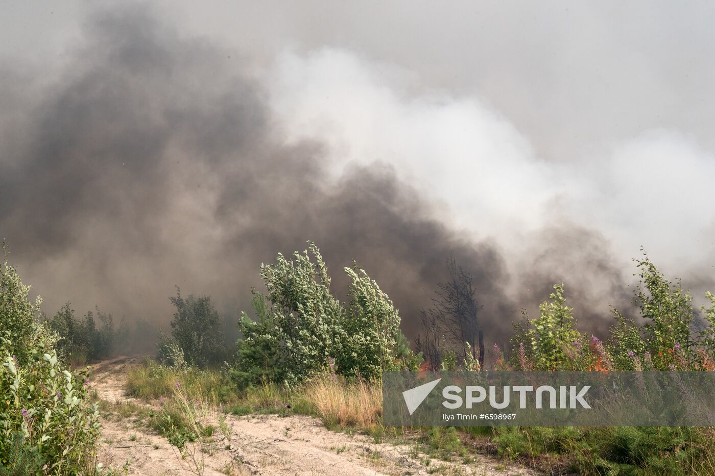 Russia Wildfires