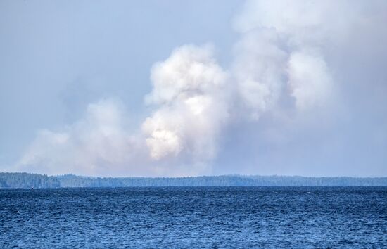 Russia Wildfires