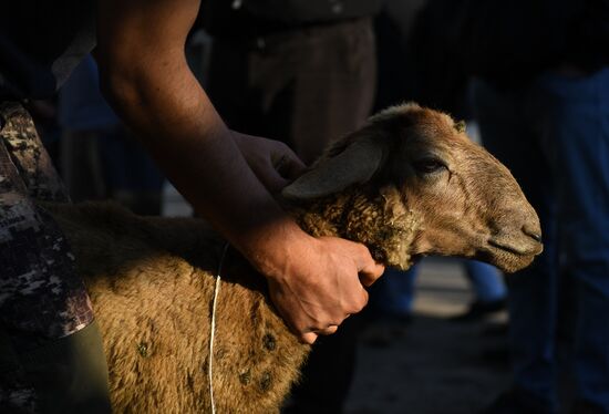 Russia Eid al-Adha
