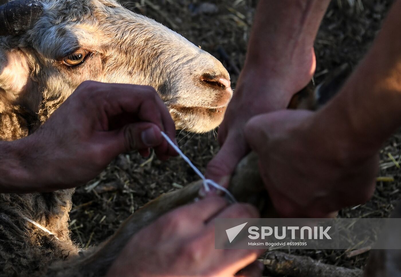 Russia Eid al-Adha