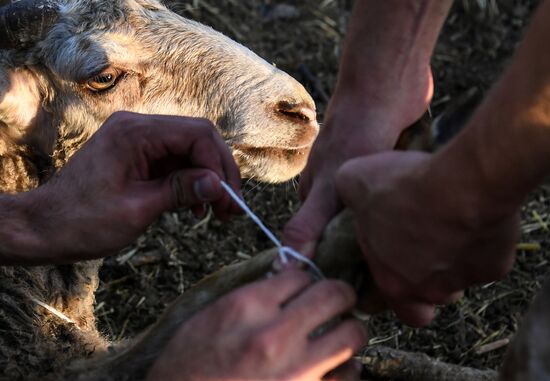 Russia Eid al-Adha
