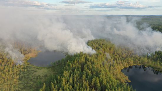 Russia Wildfires