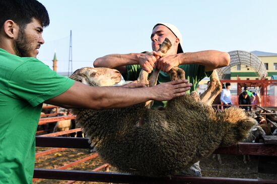 Russia Eid al-Adha