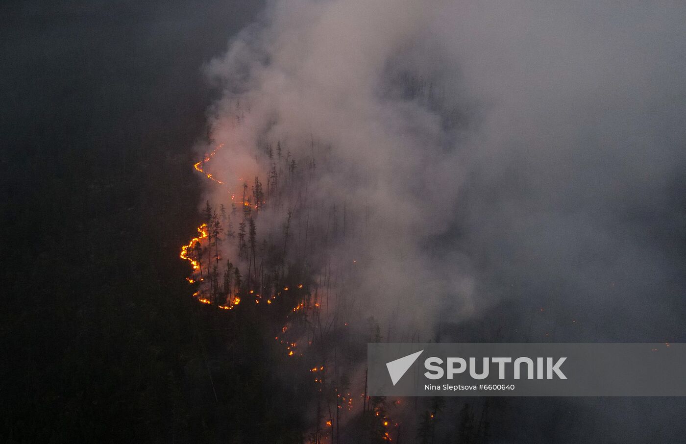 Russia Wildfires