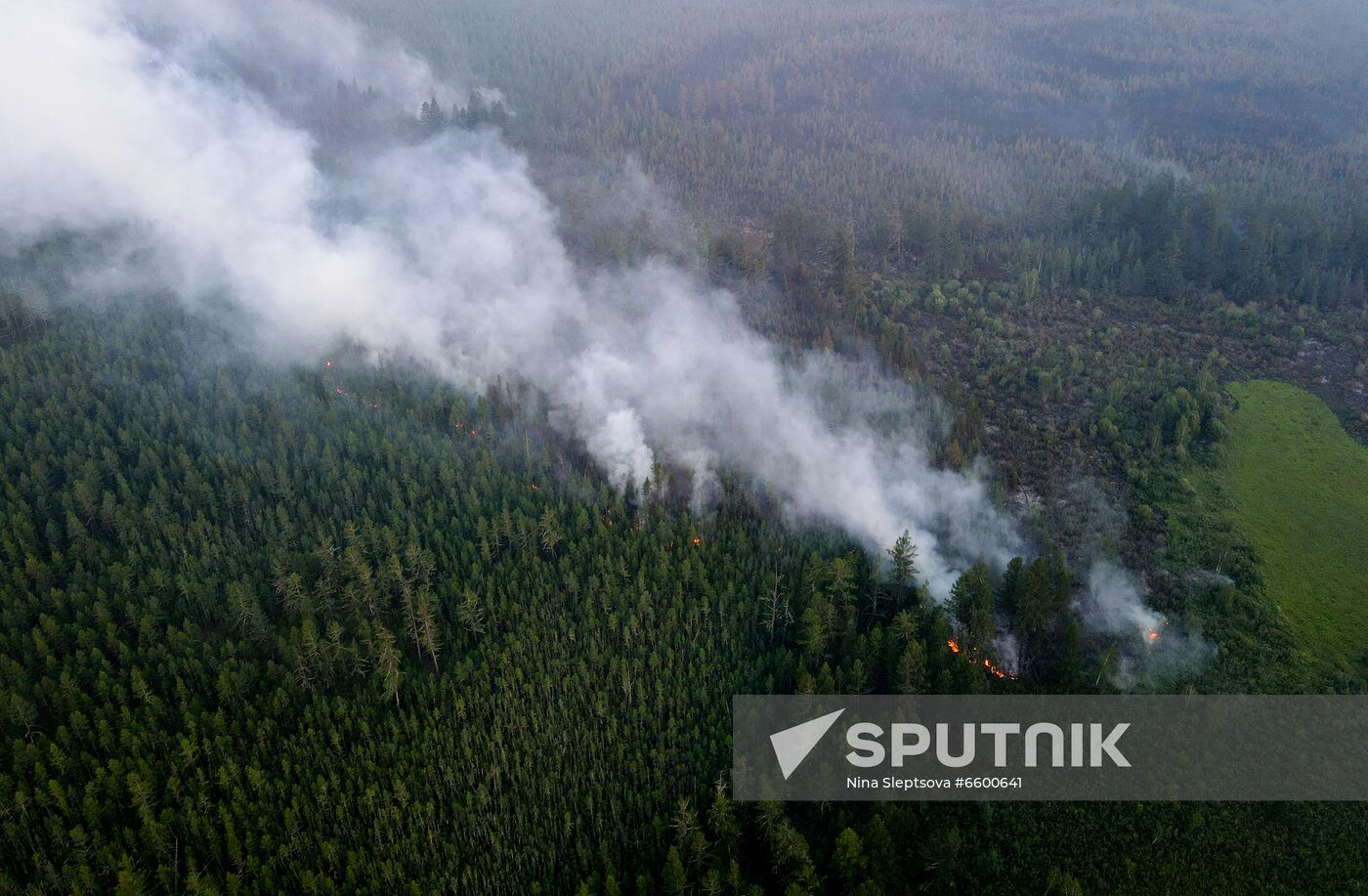 Russia Wildfires
