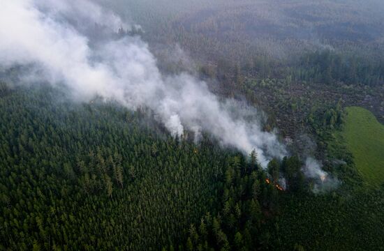 Russia Wildfires