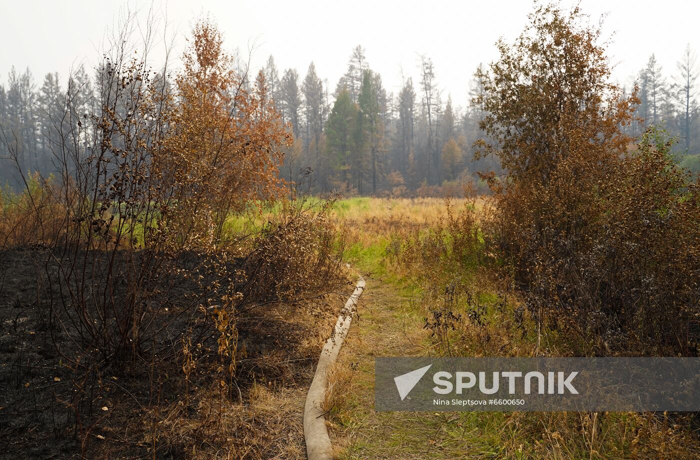 Russia Wildfires