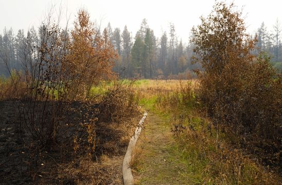Russia Wildfires