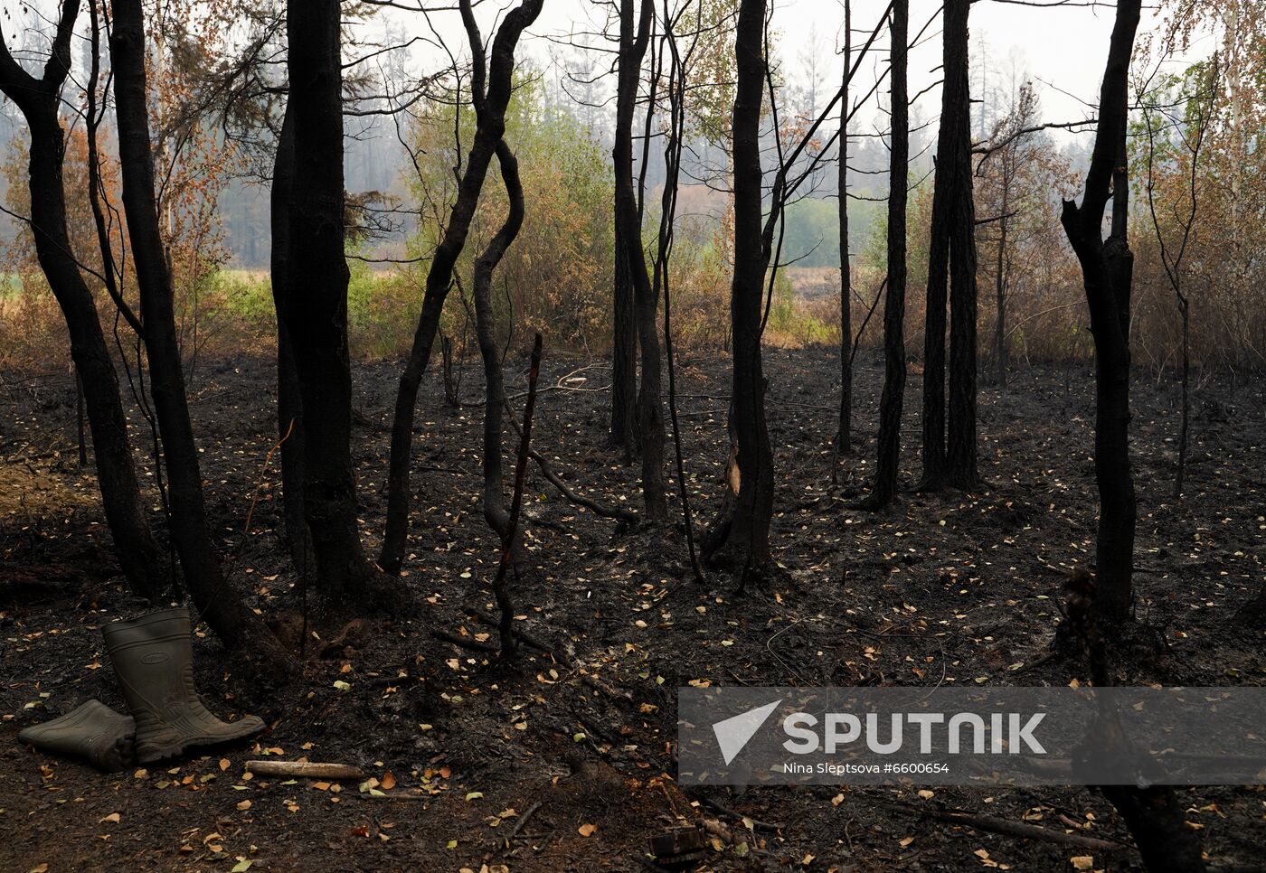 Russia Wildfires