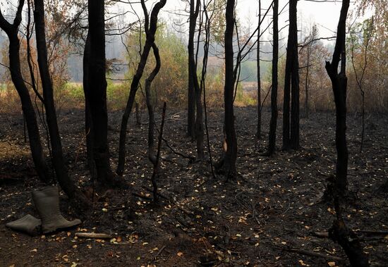 Russia Wildfires