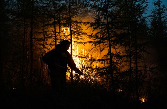 Russia Wildfires