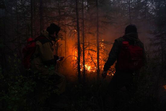 Russia Wildfires