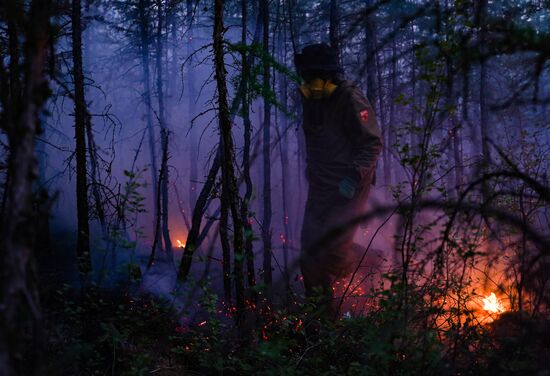 Russia Wildfires