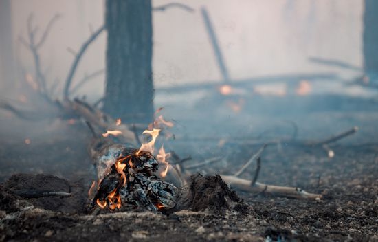 Russia Wildfires