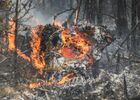 A wildfire is seen in Gorny District, Republic of Sakha (Yakutia), Russia. Region authorities have registered 273 active wildfires in the region, 2161 people and about 300 units of machinery are involved in battling the fires. Location: Russia, Republic of Sakha (Yakutia). Author: Andrey Sorokin/Sputnik. Russia Wildfires