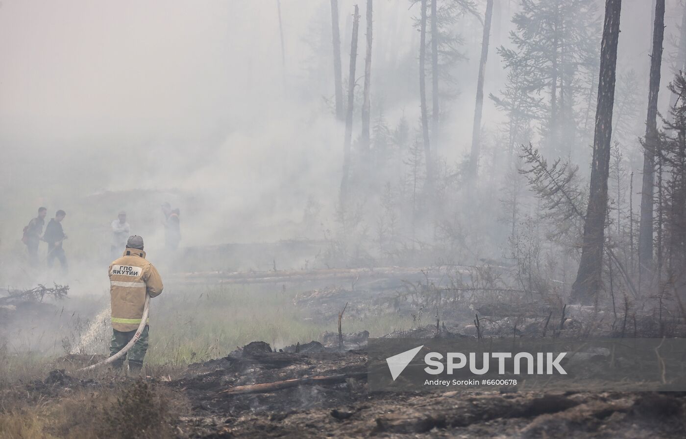 Russia Wildfires