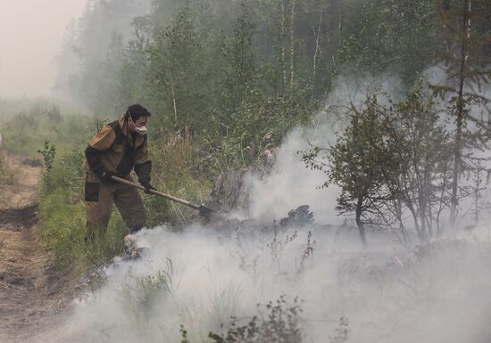 Russia Wildfires