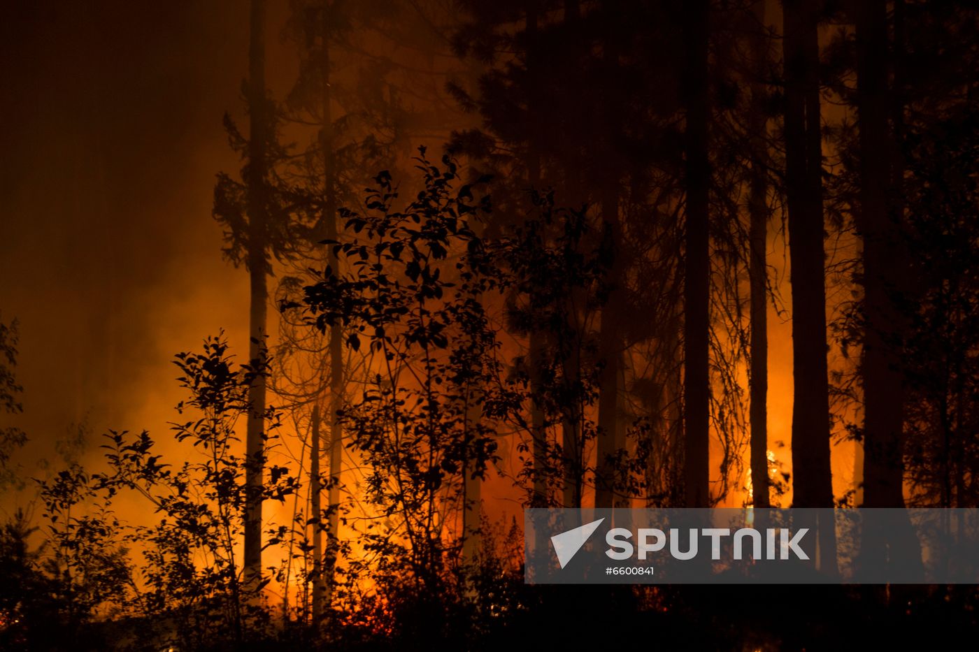 Russia Wildfires