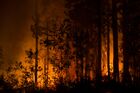 In this handout photo released by Avialesookhrana (Forest Aviation Guard) state airborne firefighting service, fire burns in a forest in Republic of Sakha (Yakutia), Russia. Editorial use only, no archive, no commercial use. Location: Russia, Republic of Sakha (Yakutia). Russia Wildfires