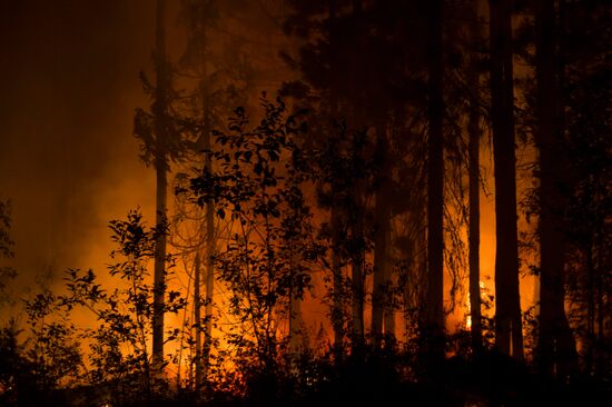 Russia Wildfires