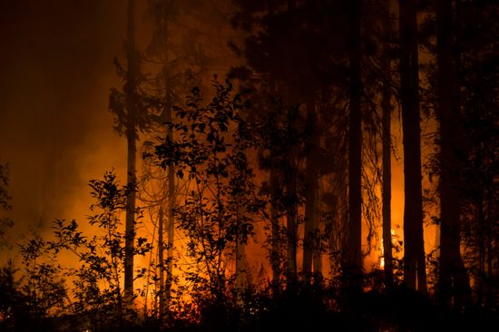 Russia Wildfires
