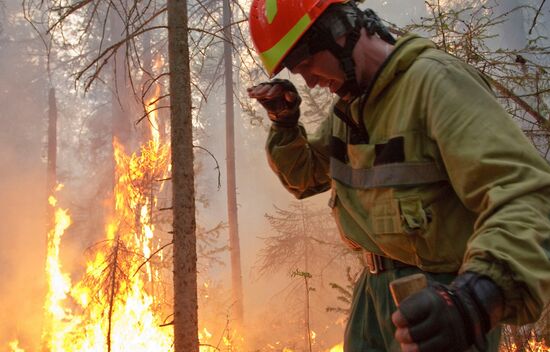Russia Wildfires