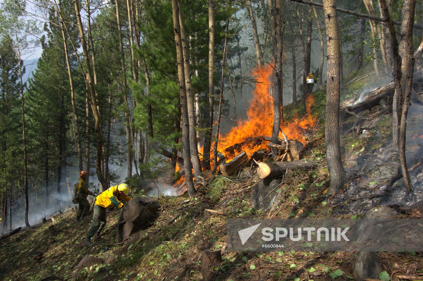 Russia Wildfires