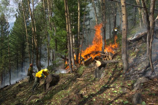 Russia Wildfires