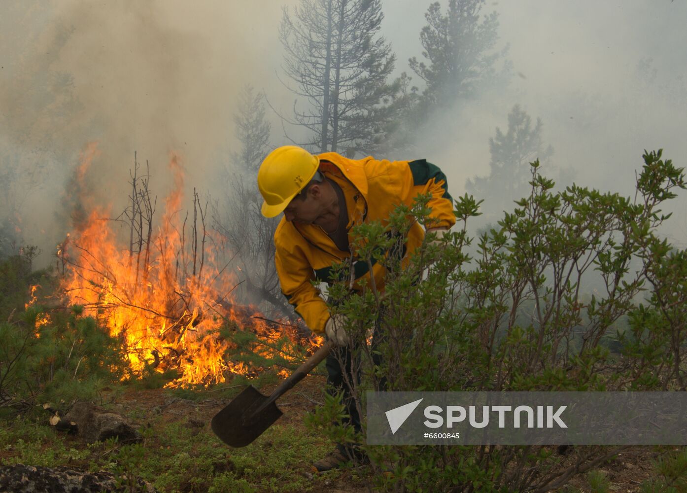 Russia Wildfires