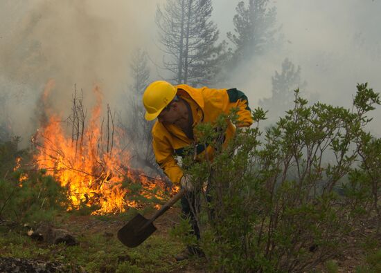Russia Wildfires