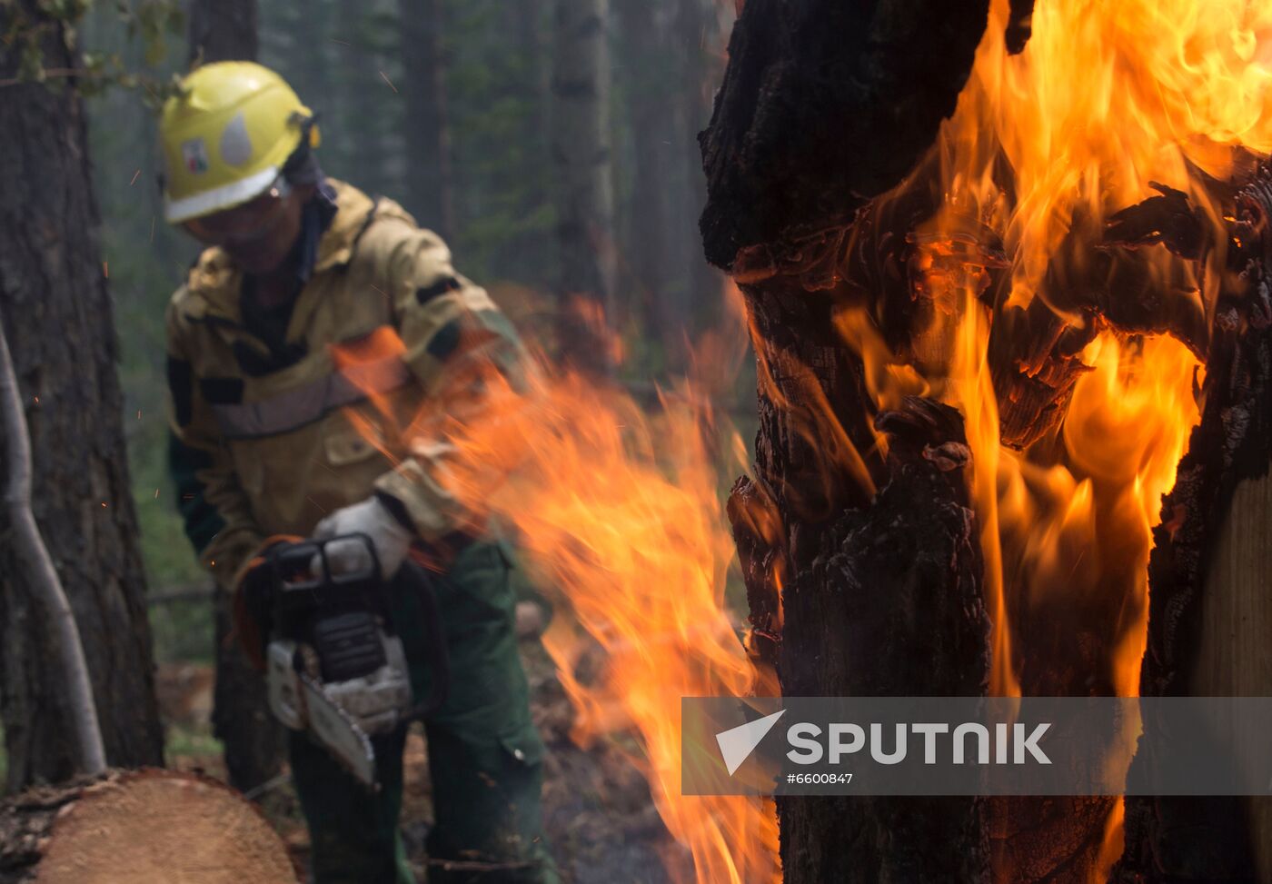 Russia Wildfires